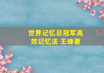 世界记忆总冠军高效记忆法 王峰著